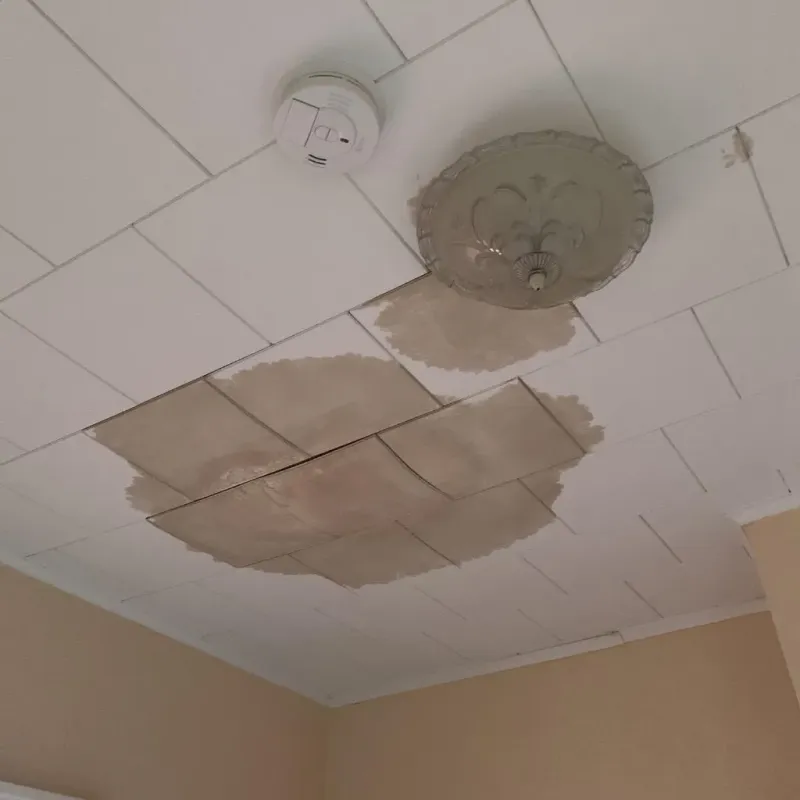 Ceiling Water Damage Repair in Melissa, TX