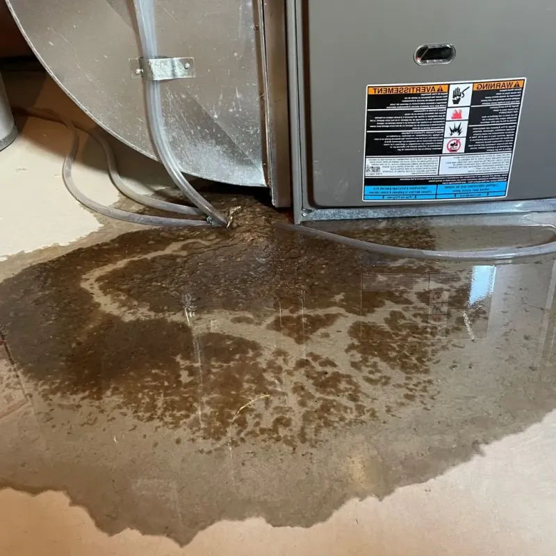 Pipe Burst and Leak Restoration in Melissa, TX