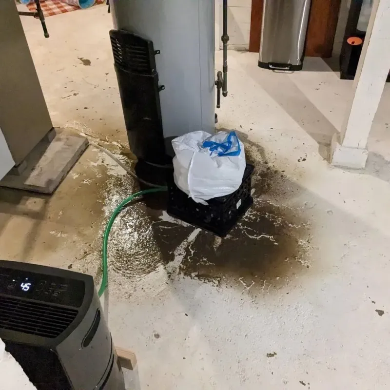 Sewage Backup Cleanup Service in Melissa, TX